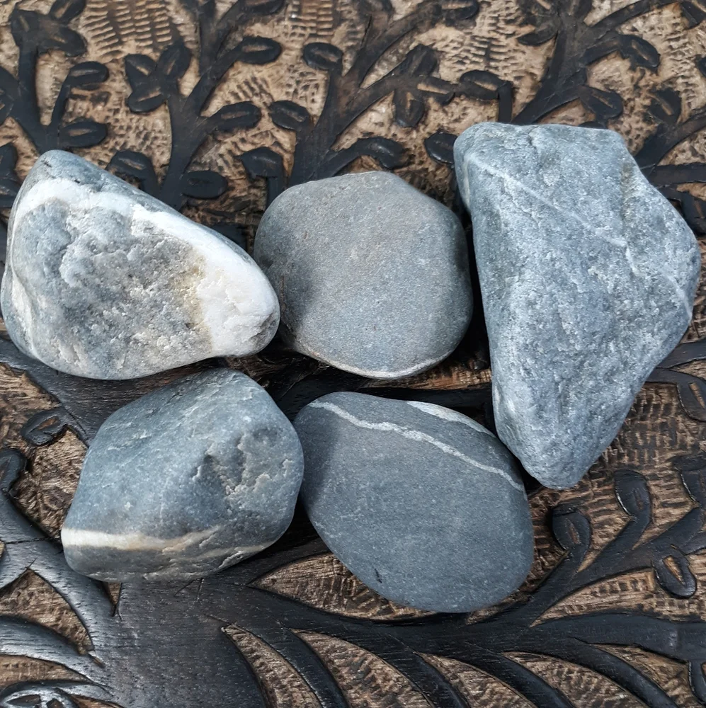5 Banded Stones East Coast Beach Rocks Raw Rough Mineral Specimens Gray White